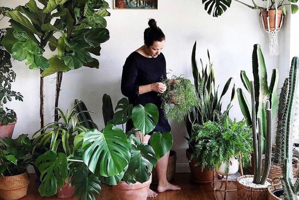 Lockers + Plants - with Tribe and Us